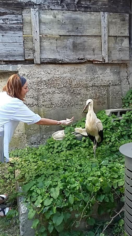 La Legende Des 2 Pierres Leilighet Eguisheim Eksteriør bilde